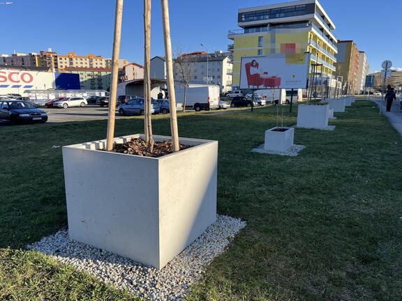 https://cdn.klocok.eu/page/gallery/kvetinace-kezmarok-49-1973479808430882.jpg?size=576x