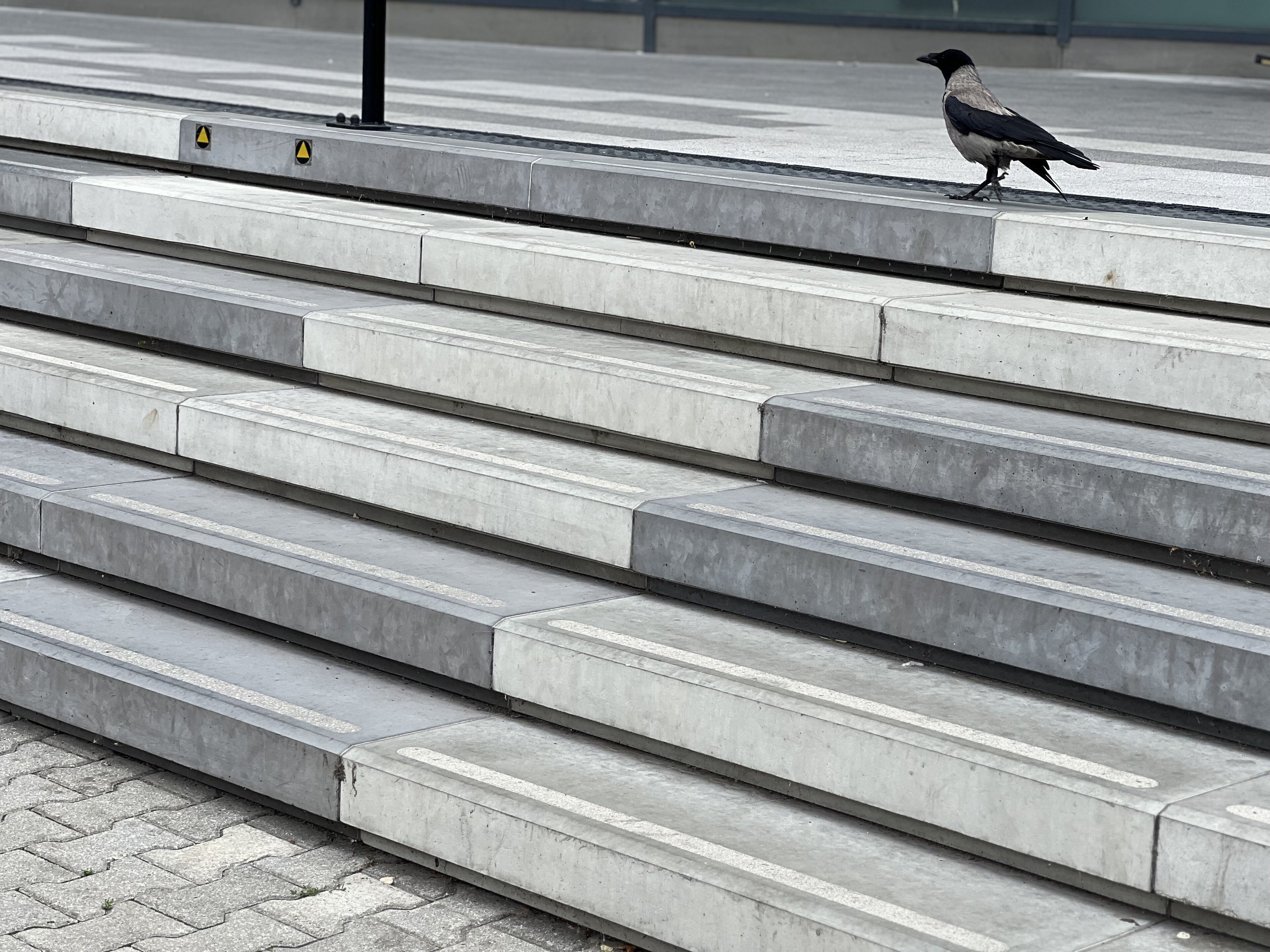 L-Steps VIVO